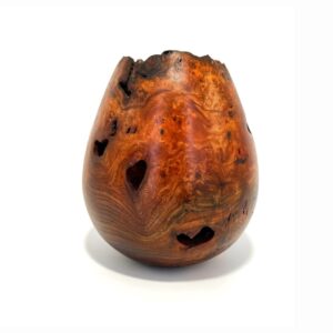 Elm Burl